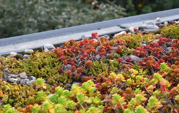 the cost of East Barton green roof installation
